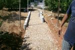 A vendre une superbe sania à la campagne de hammamet
