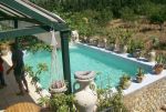 A vendre une superbe sania  dans la campagne de hammamet  surface 1 hectare 670m