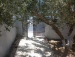 Bonne affaire maison ceinture hammamet
