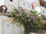 A vendre un rez de chaussé