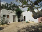 Urgent ne pas rater maison de campagne avec 600m hammamet