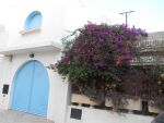 Av à hammamet une magnifique maison