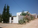 Av maison avec un grand courette à la campagne hammamet