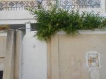 Av une belle villa dans la compagne de hammamet