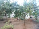 Av maison style arabe avec beau jardin à hammamet