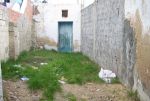 Av partie d’une maison arabe vm253