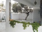 Maison bir bouregba (vm : 276)+
