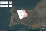 Lac de bizerte