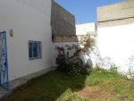 Av à hammamet nord un studio