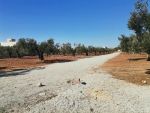 Lot de terrains baraka mango hammamet