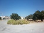 Lot commercial 238mou 242m à manaret hammamet