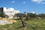 Lotissement corniche beni khiar vt:196++