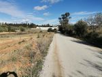 Terrain bir choba hammamet mango immo