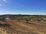Terrain latrach mango hammamet