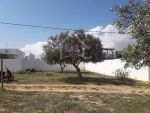 Terrain de 320 m² à coté villa verde à vendre à 80 md