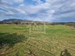 Terrain de 1 hectare à vendre à 170 md à hammamet