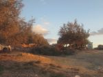 Terrain a bir bouregba
