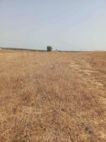 Av 7 hectares route hammamet zaghouan