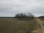 Terrain 5 hectares et 1380m à bouficha