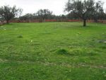 Vente : terrain 1000m² vt : 330
