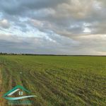 Terrain agricole 11 hectare à chraf hawaria