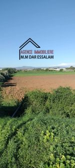Terrain agricole bien équipé à menzel temime