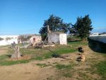 Terrain agricole a dar alouche