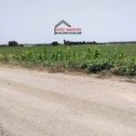 Terrain agricole dar allouche