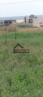 Lotissement à dar allouche près de la mer