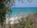 10000 m² paradisiaque cote kelibia