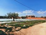 Terrain a daroufa plage maamoura
