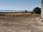 Terrain de 2737 m² vue de mer à vendre à maamoura à 155 dtm²