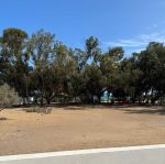 Occasion de 1000 m²