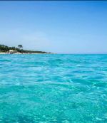 Un terrain a saisir de 30 000 m²