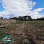 Terrain agricole 5396 m² à hamam ghzez