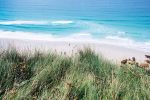 Partager un terrain de 1 ha au bord de la mer