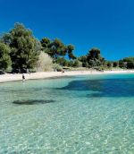 Un terrain de 1000 m² magique