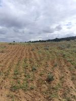 Av terrain 4100m à zaghouan zriba