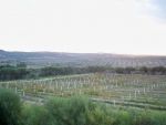 Terrain latrach - latrach               ref. t010