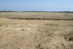 Terrain dans la campagne de hammamet