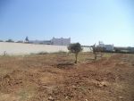 Av terrain de 35md a monchar hammamet sud