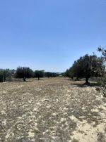 Av terrain de 5350m cloturé a hammamet