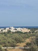 Terrain lora av i hammamet nord mrezka