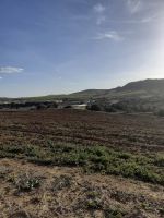 Av terrain agricole de 10000m sur la route à hammamet sud