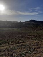 Terrain agricole de 10000m à hammamet