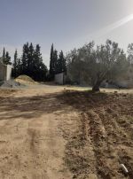 Av terrain de 300m à sidi hammed hammamet sud