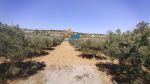 A vendre terrain hammamet oued lassoued