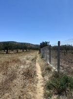 Av 2 hectares et 7000m à hammamet sud