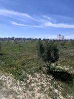 Av 10000m à 35md hammamet sud