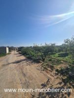 Terrain gina av hammamet birbouregba iii